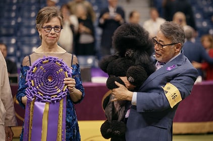 Westminster Kennel Club