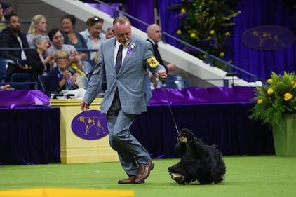 Westminster Kennel Club