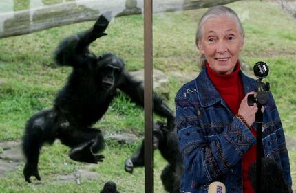 Dr. Jane Goodall