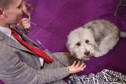 Westminster Kennel Club