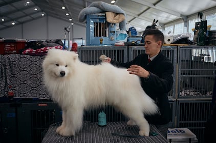 Westminster Kennel Club